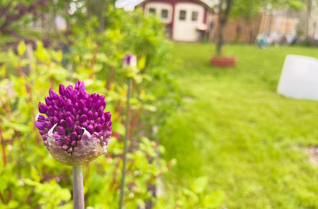 Niendorf House | Ferienhaus Herger
