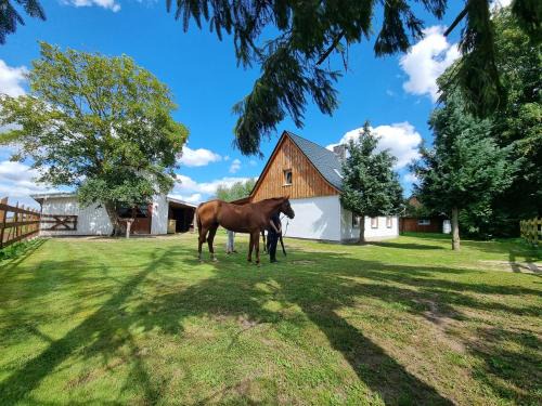 Ducherow House | Ferienhaus in Ostseenähe auch mit Pferd