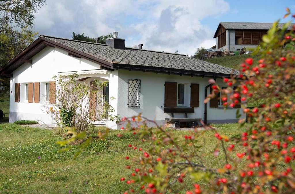 Lenz House | Ferienhaus mit Garten Tgease Schilendra-Lantsch-Lenz-Lenzerheide