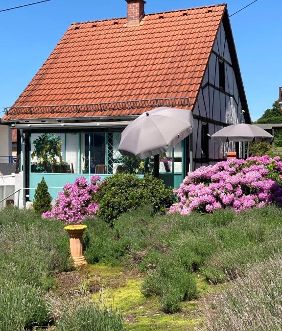 Glashuetten House | Ferienhaus mit Sauna, Wintergarten und Terrasse im schönen Hochtaunus