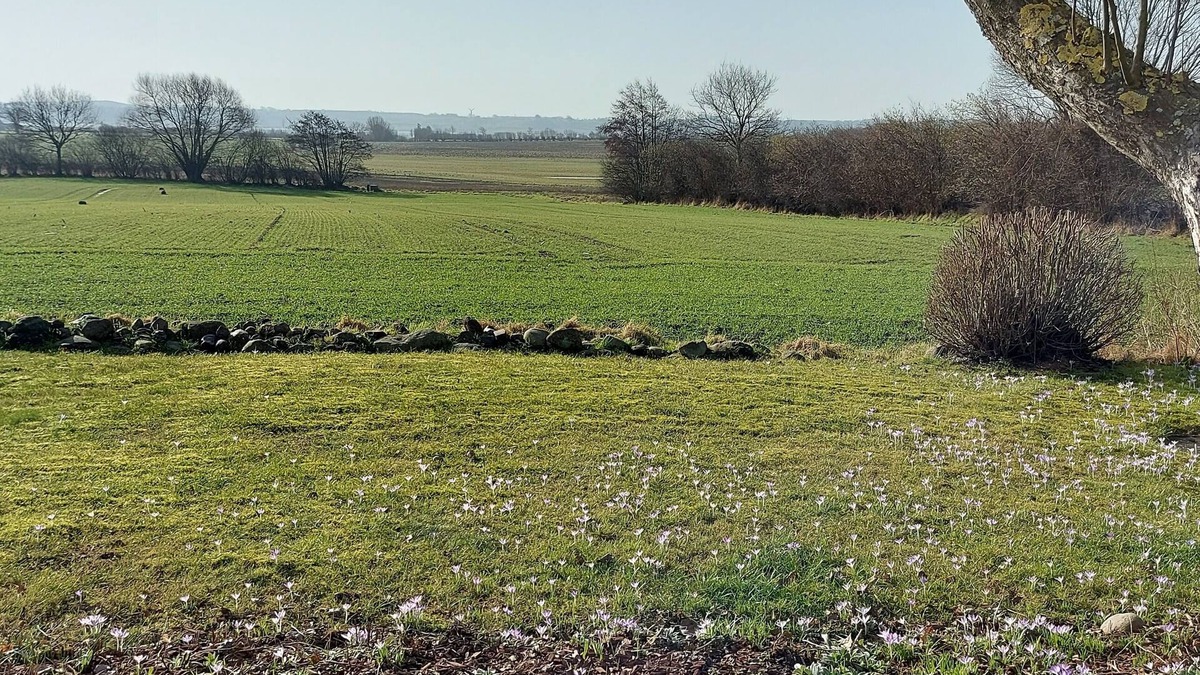 Fusing House | Ferienhaus "schlei-rose" in Schaalby