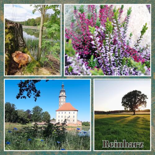 Reinharz House | Ferienhaus Waldblick