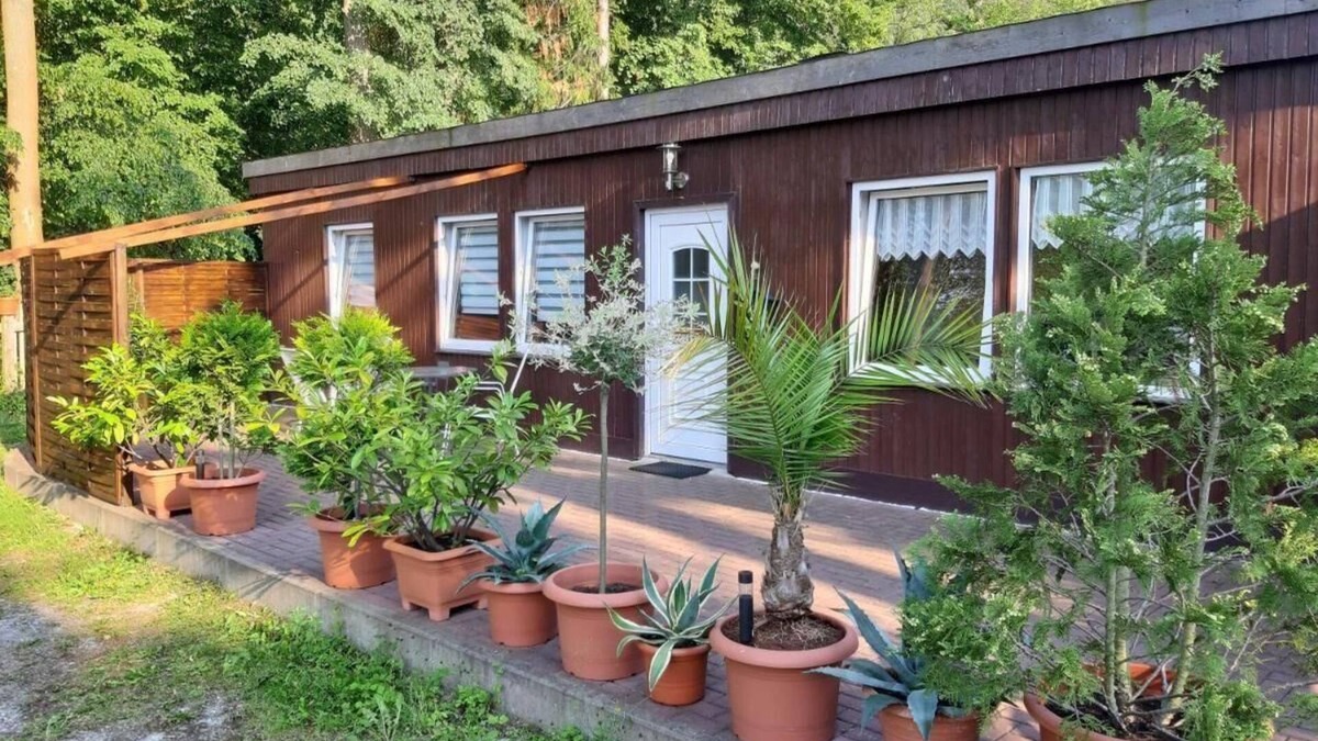 Wernigerode House | Ferienhaus "Waldhäuschen am Waldesrand"