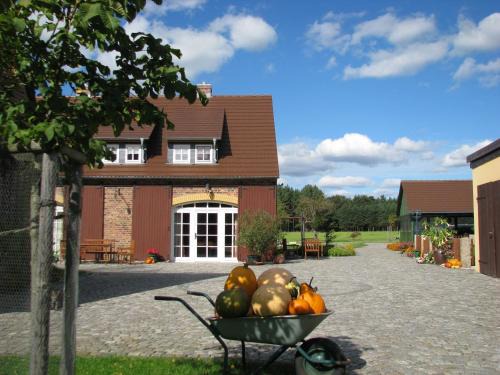 Klitten Apartment | Ferienhof Erlengrund