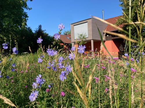 Straupitz Apartment | Ferienloft Libela Straupitz im Spreewald