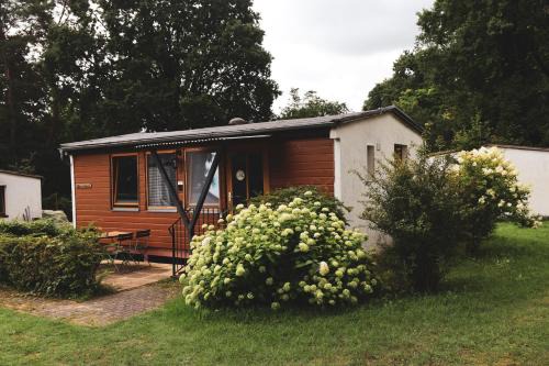 Wandlitz Resort | Ferienpark am Hellsee