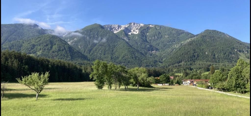 Feistritz ob Bleiburg Apartment | Ferienwohnung Alte Feuerwehr