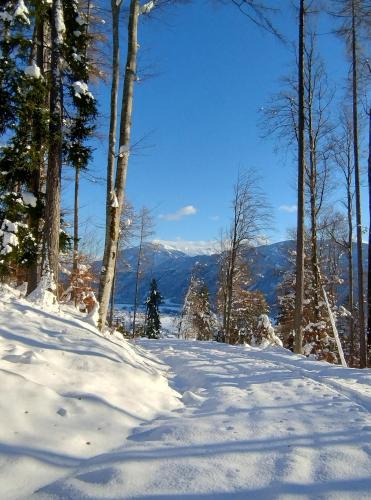 Liezen Apartment | Ferienwohnung BergTime
