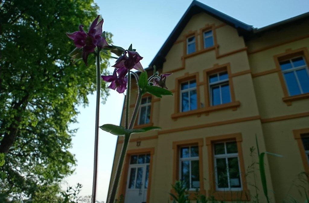 Neustadt am Rennsteig Apartment | Ferienwohnung Forsthaus