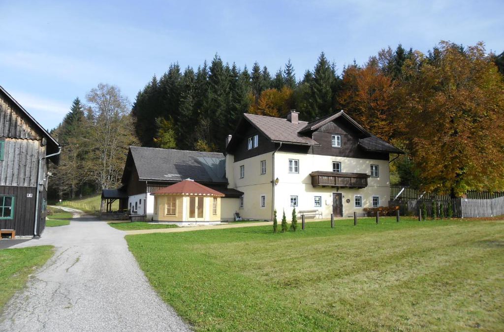 Gaming Apartment | Ferienwohnung Ötscherwiese