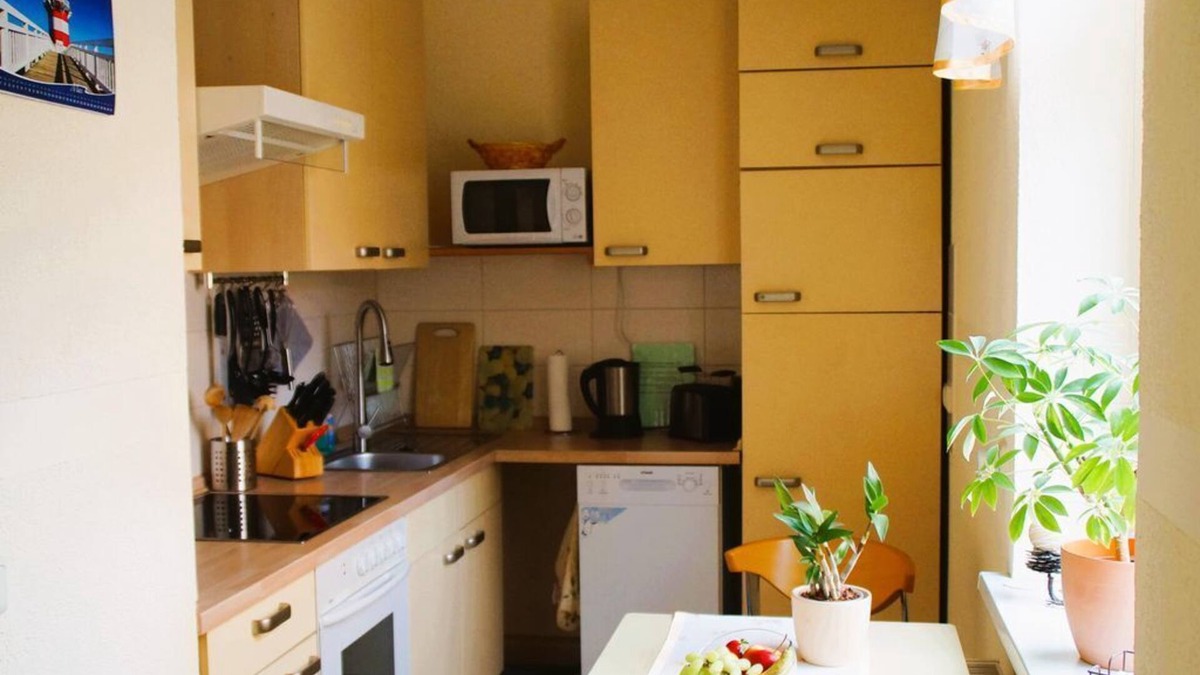 Stadt Wehlen Apartment | Ferienwohnung 1, Wohn-/schlafraum - Ferienwohnungen Villa Margarete