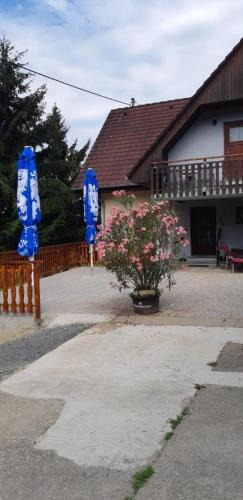 Sankt Nikolai im Sausal Apartment | Ferienwohnung 2 Jöbstl