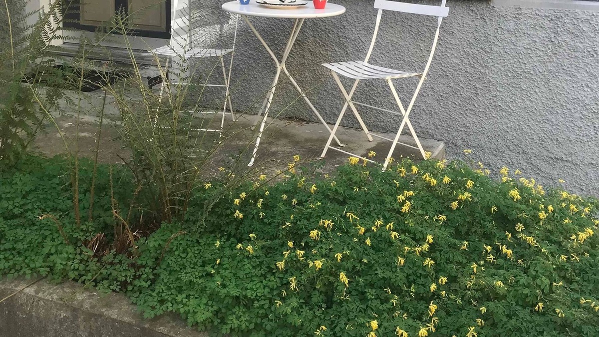 Berguen Apartment | Ferienwohnung/app. für 4 Gäste mit 52m² in Bergün/bravuogn