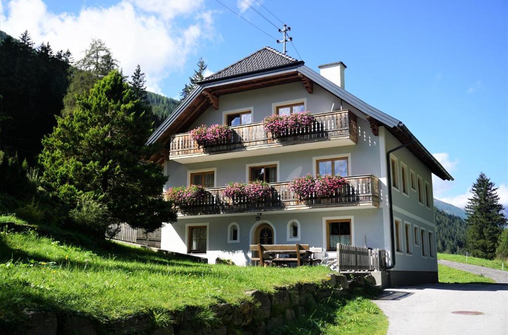 Muhr Apartment | Ferienwohnung Aignerhof