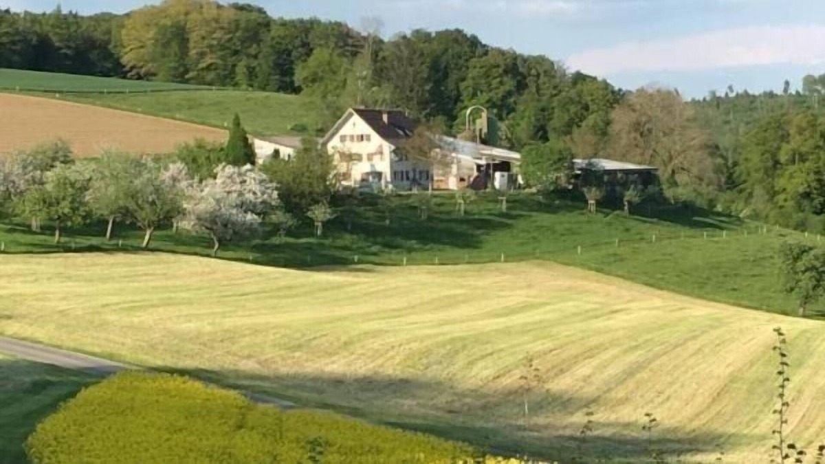 Schneisingen Apartment | Ferienwohnung/app. für 4 Gäste mit 60m² in Schneisingen