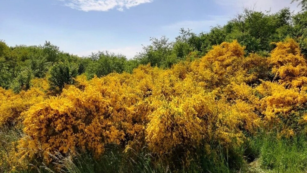 Mariendorf Apartment | Ferienwohnung/app. für 4 Gäste mit 50m² in Alt Reddevitz