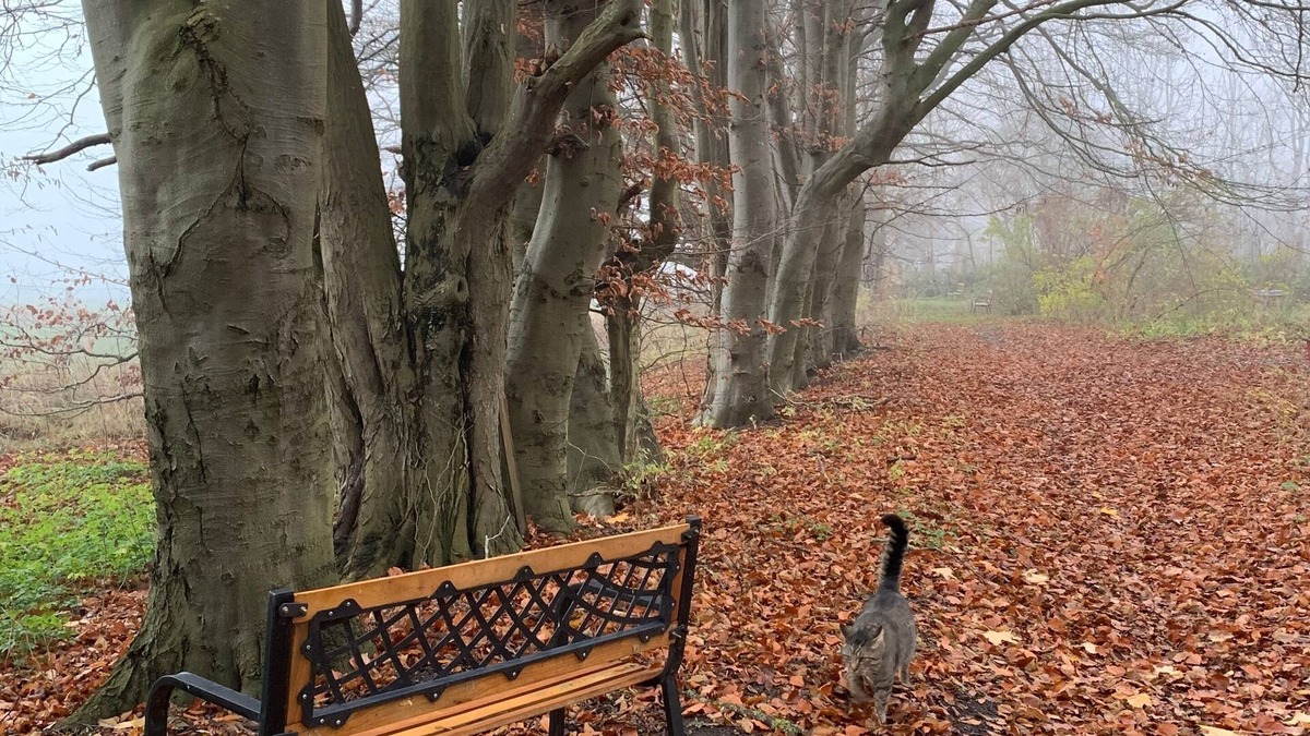 Suederholz Apartment | Ferienwohnung/app. für 4 Gäste mit 40m² in Süderholz