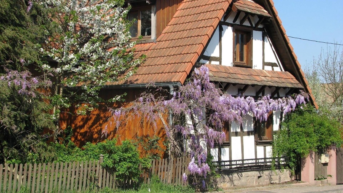 Betschdorf Apartment | Ferienwohnung/app. für 2 Gäste mit 35m² in Schwabwiller