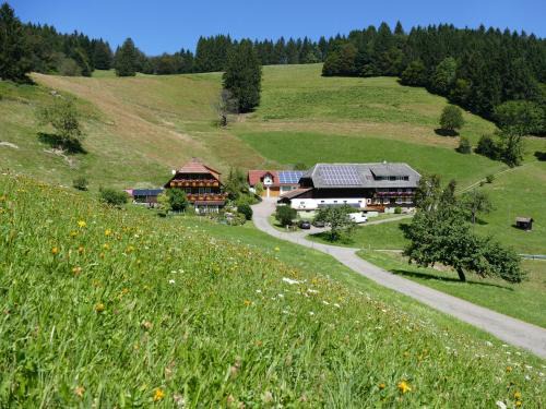 Obermunstertal Apartment | Ferienwohnung Auszeit -Gipfhof-