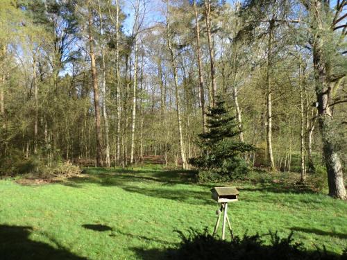 Reinsehlen Apartment | Ferienwohnung Bachforelle