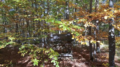 Bleicherode Apartment | Ferienwohnung Bleicherode