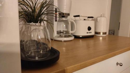 Windischeschenbach Apartment | Ferienwohnung