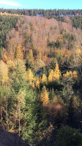 Schmiedeberg Apartment | Ferienwohnung Eulennest