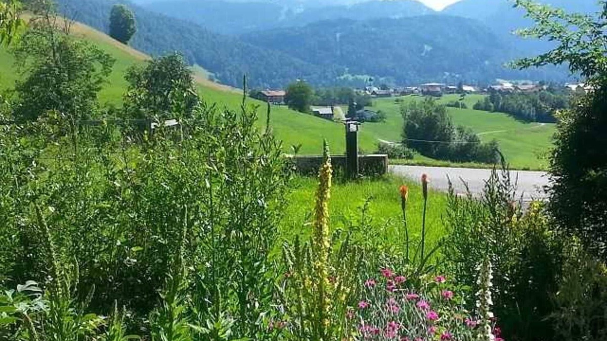 Grossdorf Apartment | Ferienwohnung Geser - Holiday flat/apartment