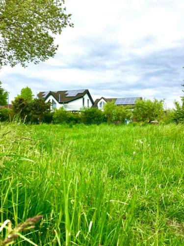 Fetten-Vorstadt Apartment | Ferienwohnung GreifZu Pröger