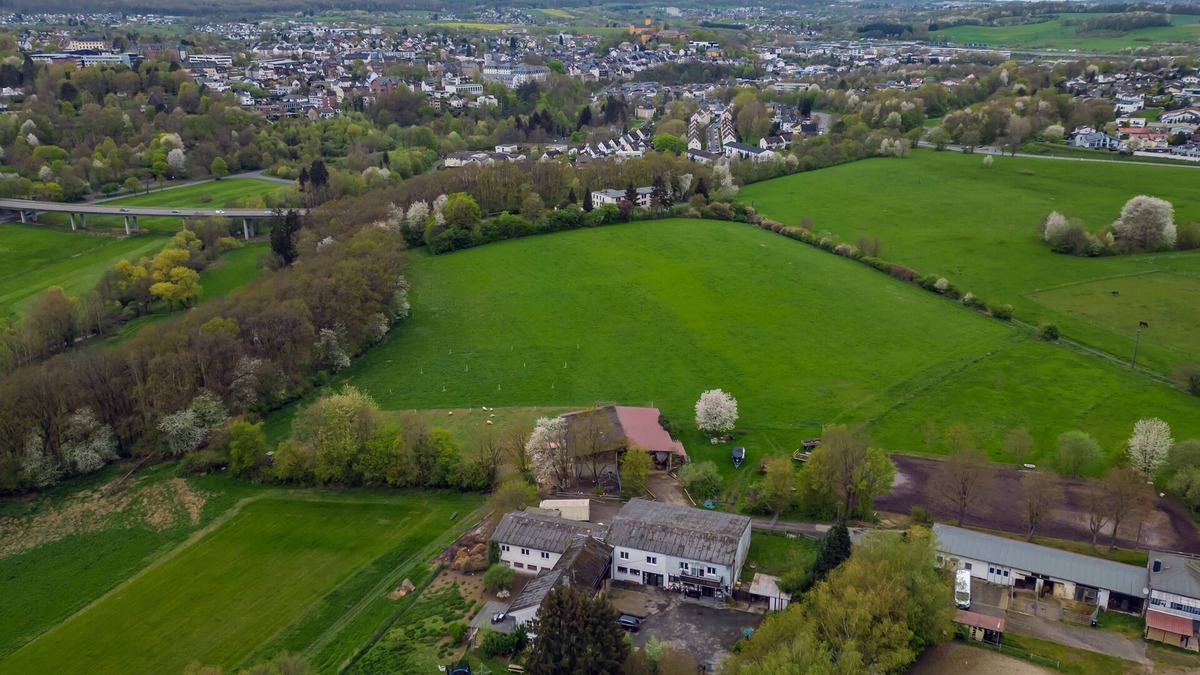 Montabaur Other | Ferienwohnung "heuboden" auf Einem Biohof in Montabaur