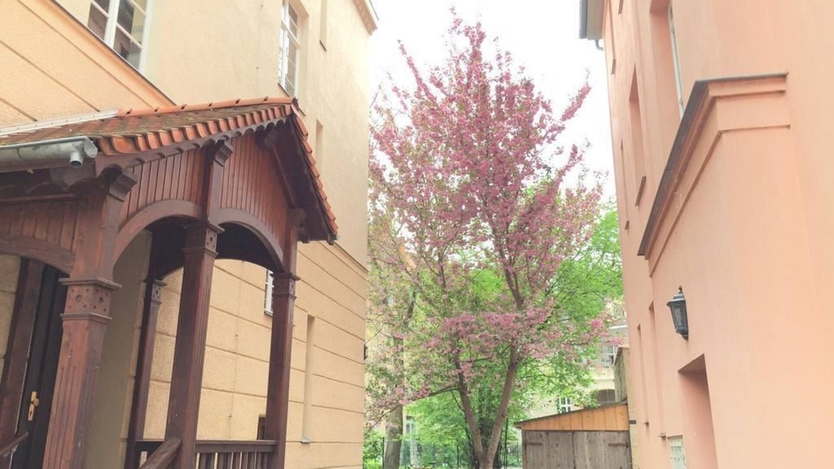 Weimar Apartment | Ferienwohnung in Altstadtnähe