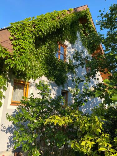 Ilz Apartment | Ferienwohnung in der Thermenregion