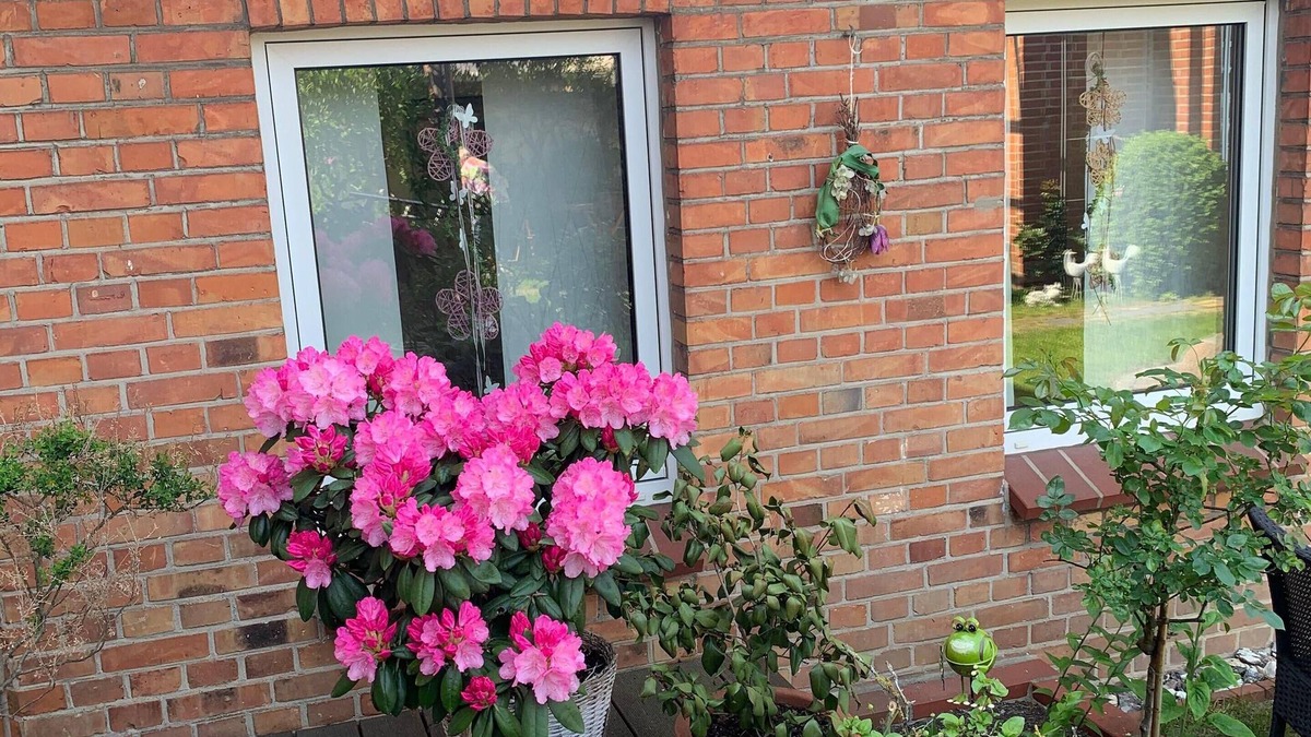 Teterow Apartment | Ferienwohnung in Stadtmitte