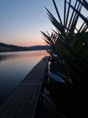 Merl Apartment | Ferienwohnung Merllorca DG