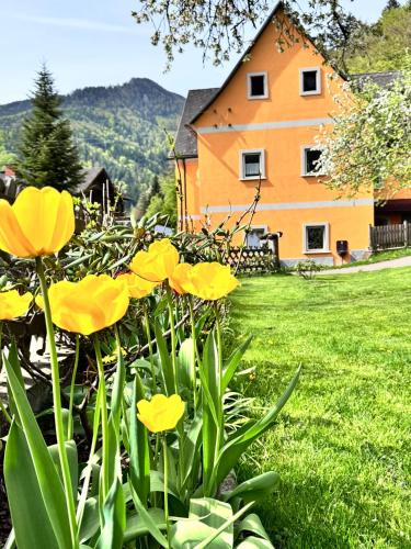 Mixnitz Apartment | Ferienwohnung-Mixnitz-Bärenschützklamm 3