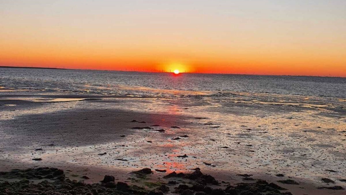 Wrixum Apartment | Ferienwohnung Neela