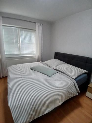 Frankenberg Apartment | Ferienwohnung Röddenau