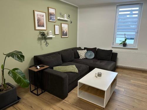 Eisfeld Apartment | Ferienwohnung Schwalbennest