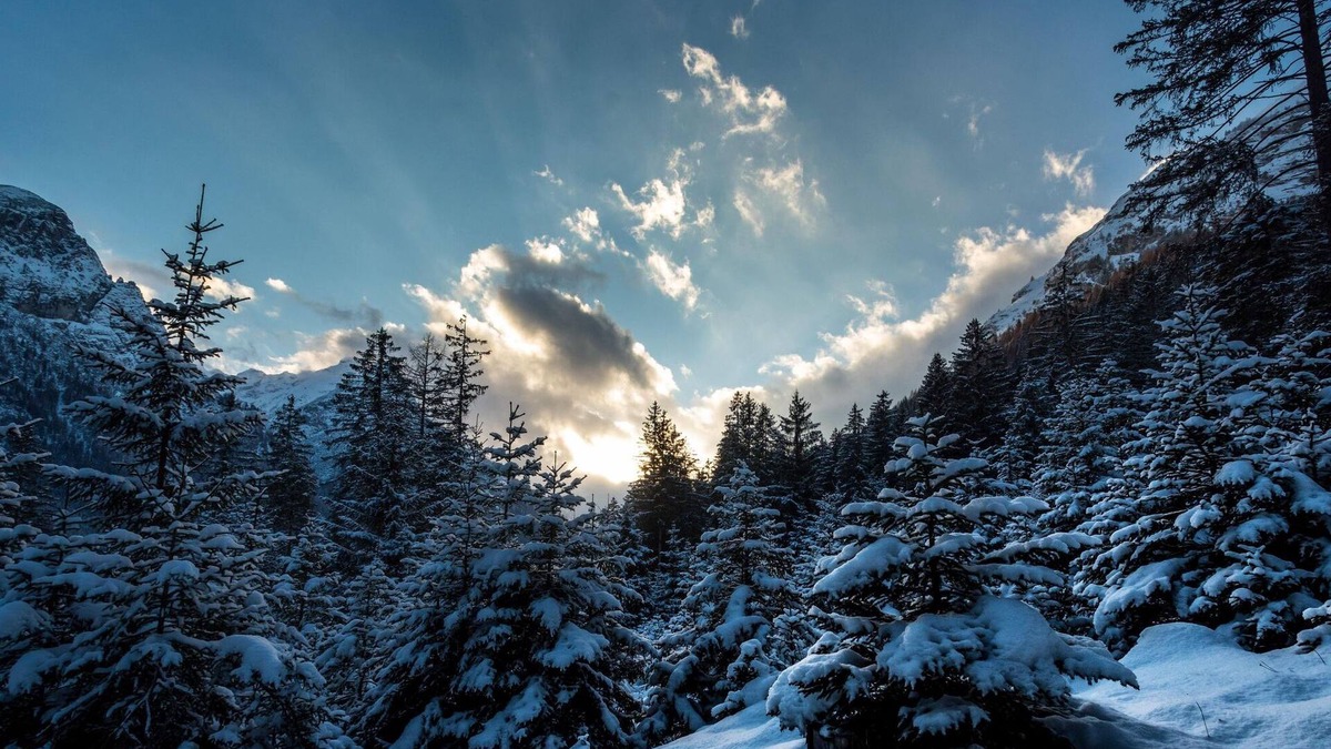 Trins Apartment | Ferienwohnung Strickner