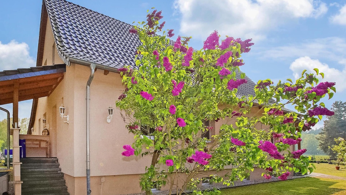 Torgelow-Hollanderei Apartment | Ferienwohnung Torgelow