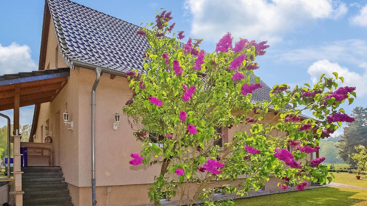 Torgelow-Hollanderei Apartment | Ferienwohnung Torgelow