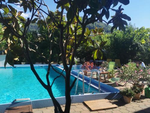 Obermunstertal Apartment | Ferienwohnung Vogelsang im Schwarzwald