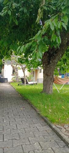 Frauenstein Apartment | Ferienwohnung Waldblick in Frauenstein