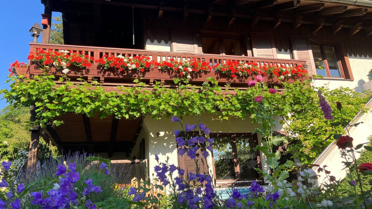 Rothesutte Apartment | Ferienwohnung Waldhaus