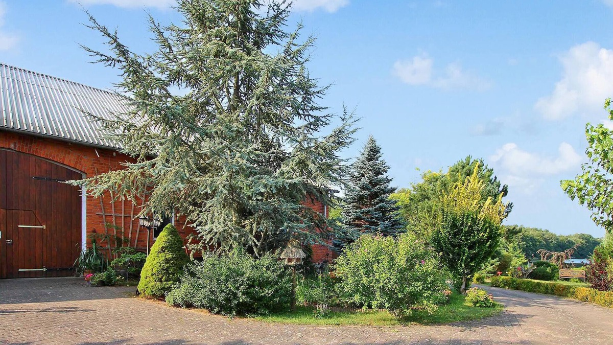 Wokuhl-Dabelow Apartment | Ferienwohnung Wokuhl-Dabelow