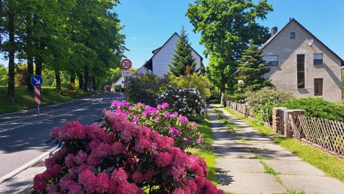 Kromlau Apartment | Ferienwohnung zentrale Lage Parkplatz kostenlos Grill Terrasse Fahrradraum Kromlau