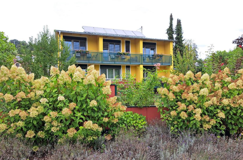 Bad Schallerbach Apartment | Ferienwohnungen Oliver Bayer