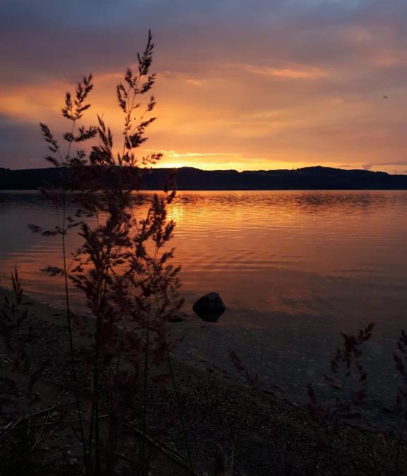 Tauchritz Apartment | Ferienzimmer am Berzdorfer See Görlitz OT Tauchritz