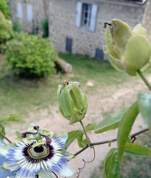 Boulieu-les-Annonay House | Ferme de fenivou
