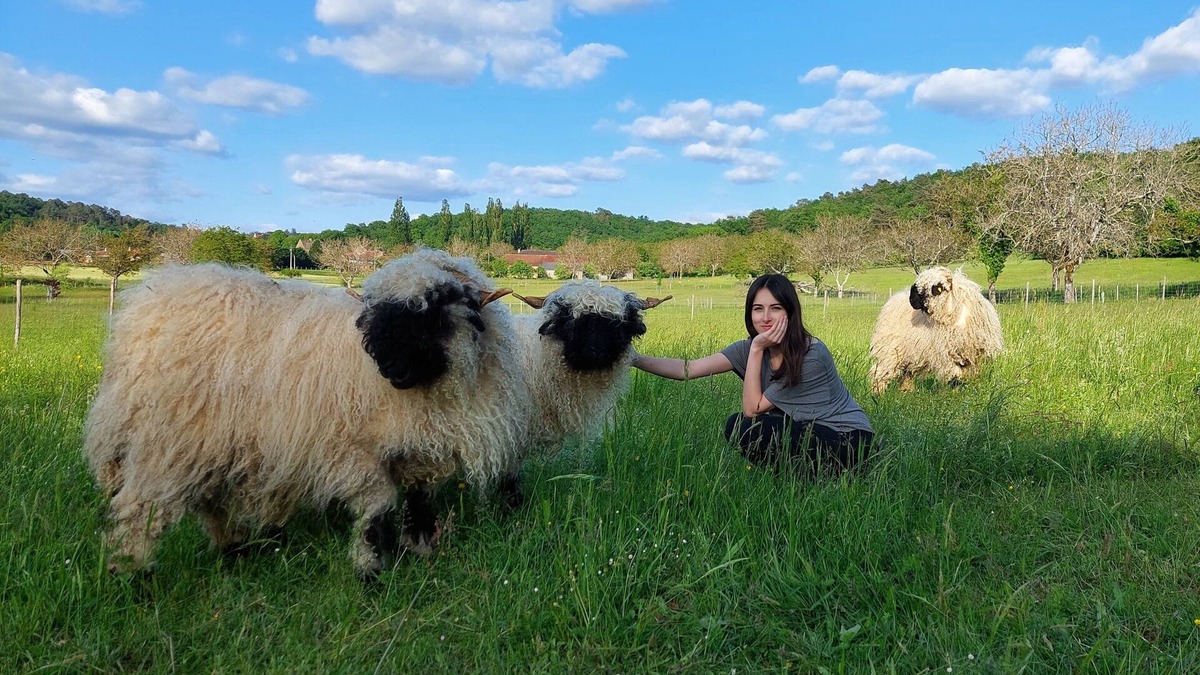 Montignac House | Ferme des Petites Oreilles: 4* gîte, 100 animals and 24 ha. Ideal for families